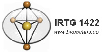 IRTG1422 Logo